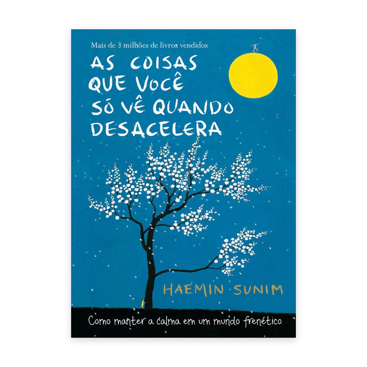 As Coisas que Você Só Vê Quando Desacelera